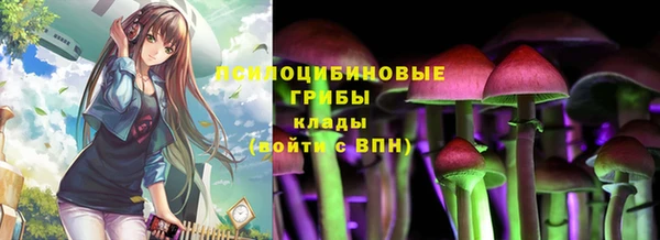 стафф Богородск